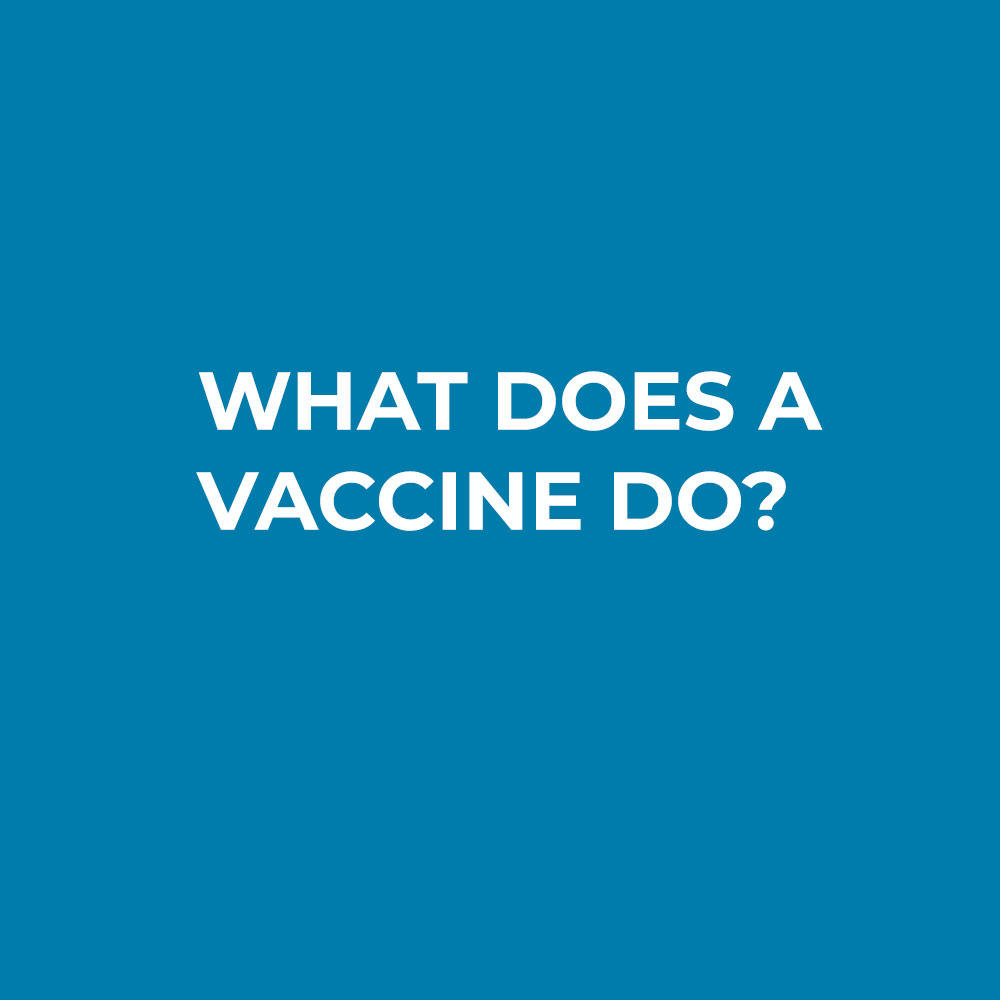 What does a vaccine do?