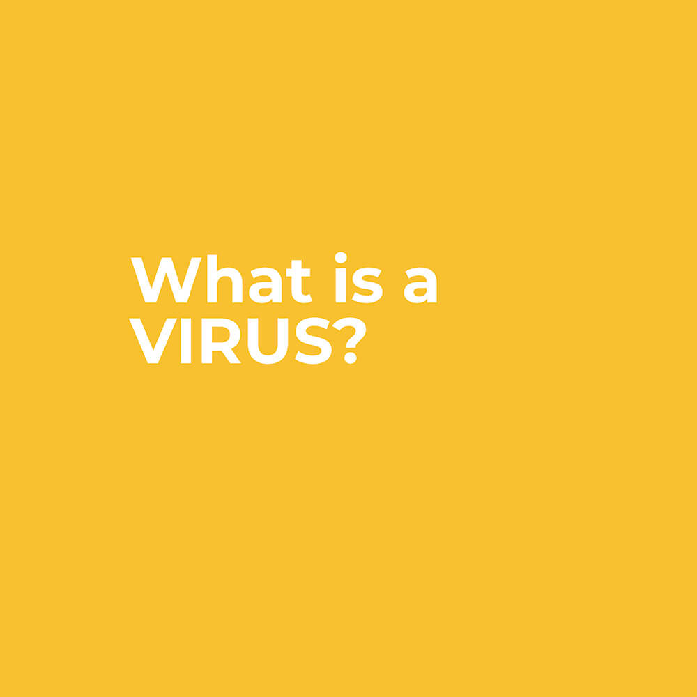 What is a virus