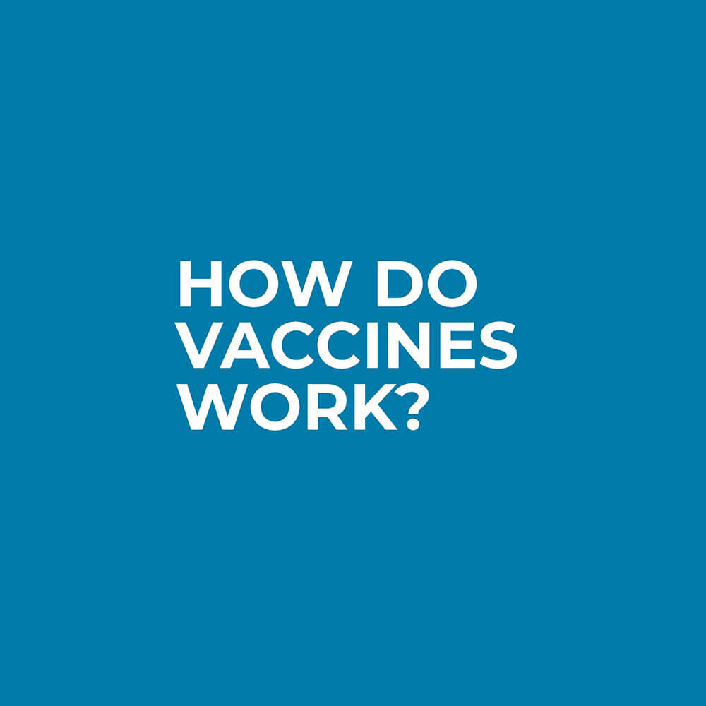 How do vaccines work