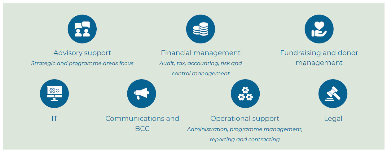 Types of expertise and capacity donated to the Fund