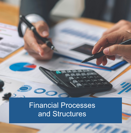 Financial Processes and Structures